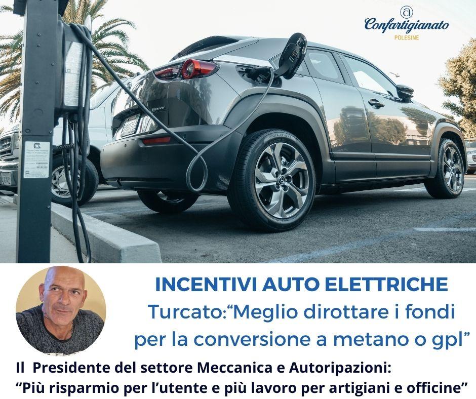 Auto elettriche, "il mercato non è ancora pronto"