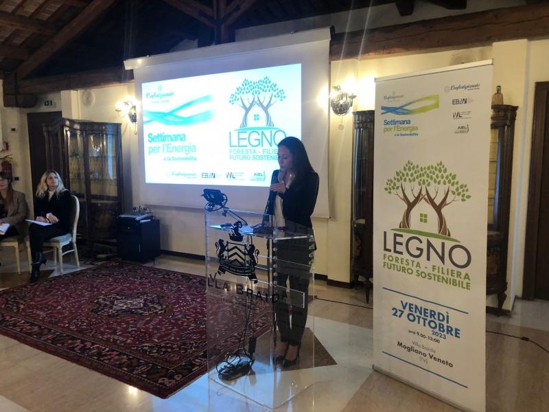 Legno: Foresta – Filiera – Futuro sostenibile