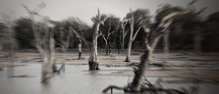 AMBIENTE – Obbligo assicurazioni anti-calamità: per Confartigianato lacune e incertezze da chiarire